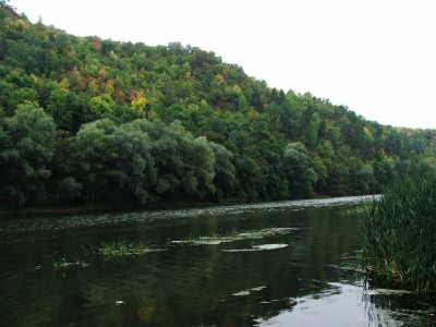 DSCF4797!.JPG
