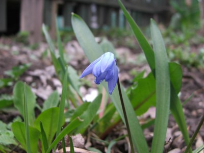DSCF2508.JPG