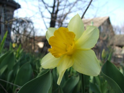 DSCF2583.JPG