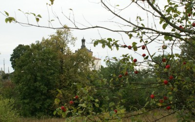DSC09836.JPG