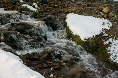 DSC01567.JPG