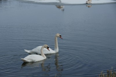 DSC01590.JPG