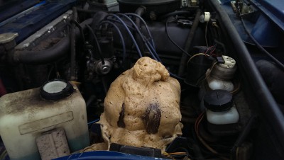 IMAG2877.jpg