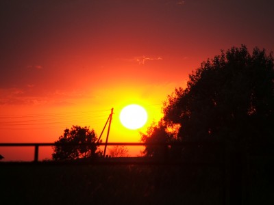 DSCF5251.JPG