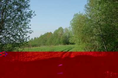 DSC02165.JPG